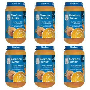 Gerber Zupka Dyniowa z nutą kokosa 250g X6