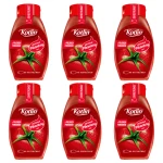 Kotlin Ketchup pikantny 450 g X6