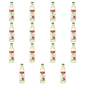 Ocet fermentacyjny jabłkowy BIO 500ml Jamar X15