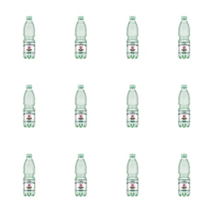 Ostromecko woda mineralna niegazowana niskosodowa butelka 0,5 l PET X12
