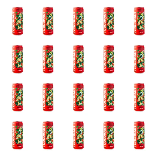 1773267243009-5-2-x20-7c747l.png