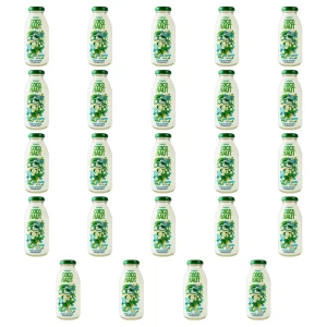 Coconaut. Woda z młodego kokosa 250ml szkło X24