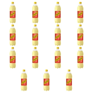 Schweppes Citrus Mix 0,85l X15