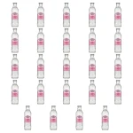 Franklin&Sons Rhubarb & Hibiscus Tonic Water 200 ml X24