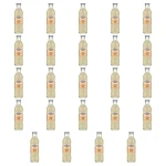 Franklin&Sons Ginger Beer 200 ml X24