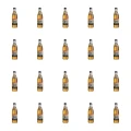 1773269733392-3410-2-x20-updatg.png