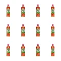 1773272141772-6541-2-x12-4pnyk.png