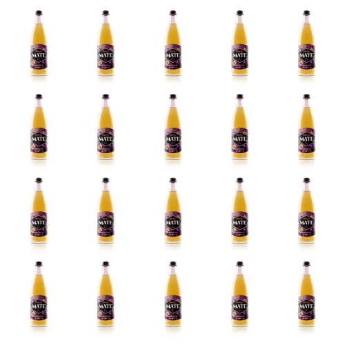 1773272694608-7287-2-x20-mr9ja3.png