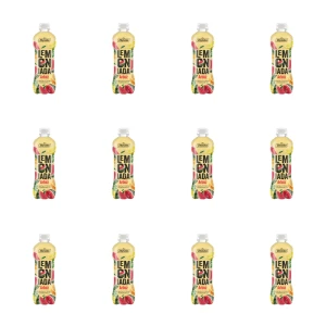 ZBYSZKO LEMONIADA ARB NG 555ML X12