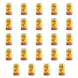 BUBBLE TEA MANGO 320 ML X24