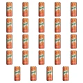 1773276087249-12210-2-x24-pr893.png