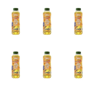 BIG ACTIV NAPÓJ MELON 500 ML X6