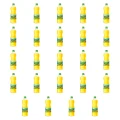 1773268998673-2426-2-x24-nepmqa.png