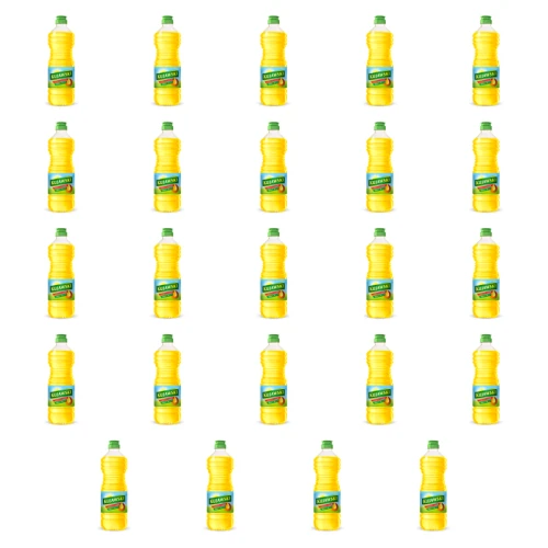 1773268998673-2426-2-x24-nepmqa.png