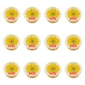 1773267561034-434-2-x12-h49u1.png