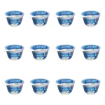 Jogurt typ Grecki 170g X12