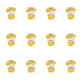 1773267573236-450-2-x12-vynee.png