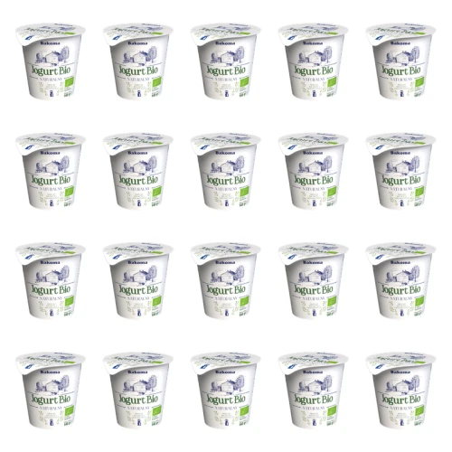 1773268471386-1666-2-x20-af8z4g.png