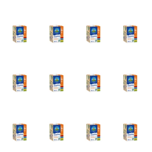 1773270037603-3781-2-x12-mmujo.png