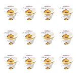 Skyr jogurt typu islandzkiego pomarańcza z kawałkami czekolady Piątnica 150 g X12