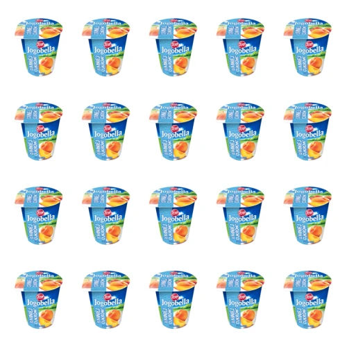 1773274141186-9372-2-x20-gku2l.png