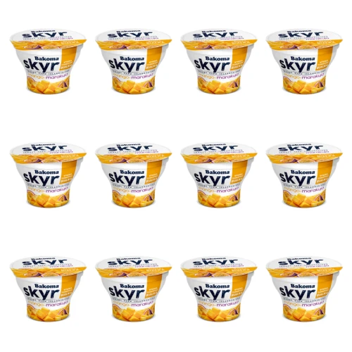 1773275225170-10982-2-x12-gvy5o.png