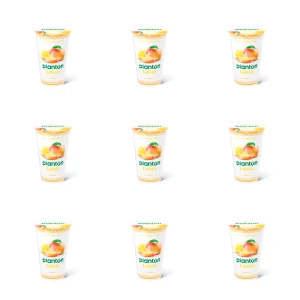 Planton Lassi mango 200g X9