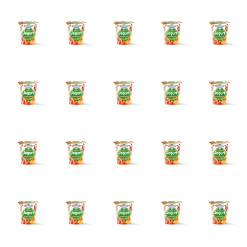 1773276438428-12700-2-x20-6hrpyv.png
