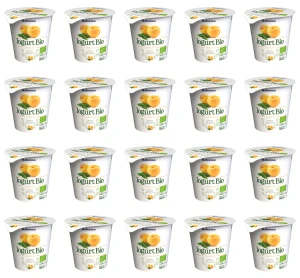 Jogurt BIO 140g morelowy X20