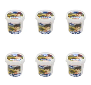 Jogurt typ Bałkański 9% tł. 1 kg MALUTA X6