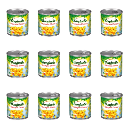 1773268375812-1529-2-x12-mddutk.png