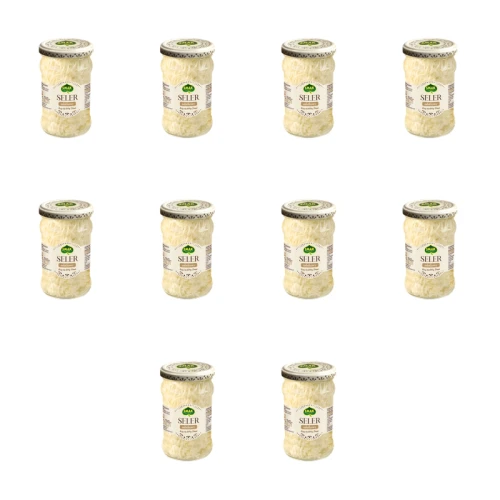 1773269134428-2618-2-x10-1r3gue.png