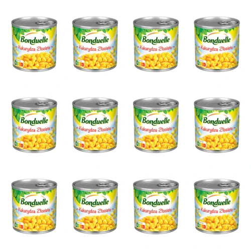 1773270955420-4996-2-x12-mz9udr.png