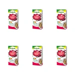 BONDUELLE Czerwona fasola 2x80g X6