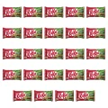1773271527562-5778-2-x24-ehk2kg.png