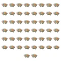1773272097716-6487-2-x50-n67odc.png