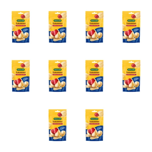 1773275980763-12060-2-x10-7i44gm.png