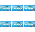 image-editor%2Fmultipack%2F1777030543151-r137-c1-x6.png