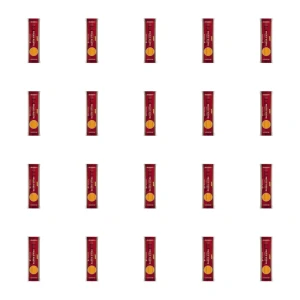 Primo Gusto Bucatini 500g (20) X20