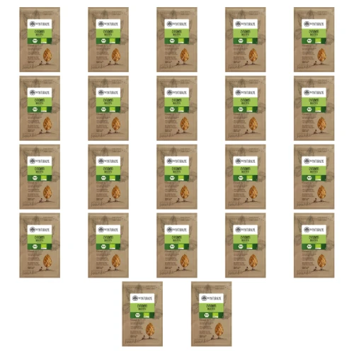 1773268632405-1903-2-x22-f5qrs6.png