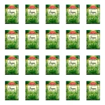 Oregano CYKORIA 10g X20