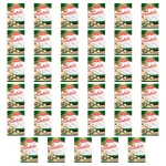 Sól Czosnkowa Aromatyczna - Przyprawa do Mięs Surówek Sałatek CYKORIA 40g X35