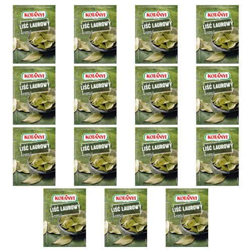 1773271974319-6333-2-x15-um5g4.png