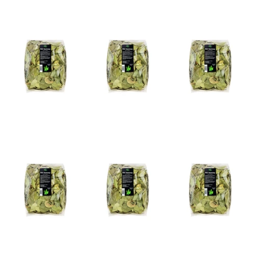 1773275481512-11369-2-x6-8yik9g.png