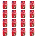 1773269444403-3006-2-x16-r7wd2s.png