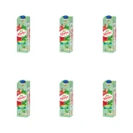 Hortex Jabłko mięta Napój karton 1 l X6