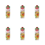 Fortuna Sok multiwitamina 1 l X6