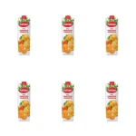 Fortuna Nektar mandarynka pomarańcza 1 l X6