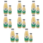 Bracia Sadownicy sok tłoczony 250 ml jabłko z miętą X8