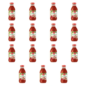 Fortuna ww+ pomidorowo-warzywny plus chili sok 100% 300 ml X15